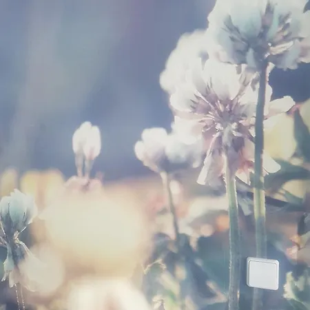 Готель Herrloh