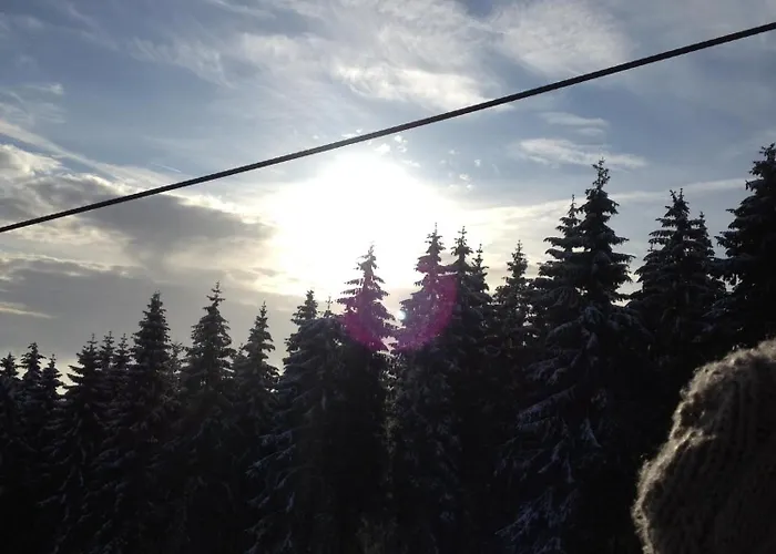 Hotel Herrloh Winterberg